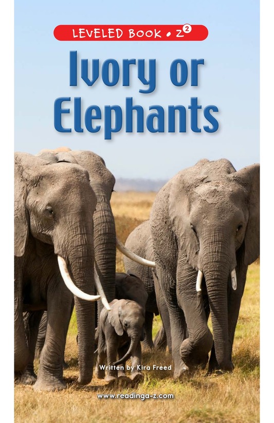 Ivory or Elephants