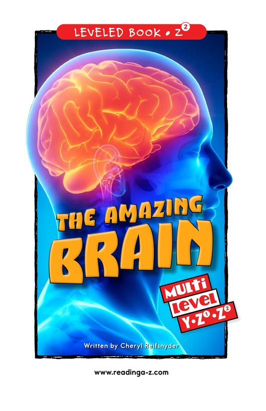 The Amazing Brain