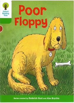 Poor floppy
