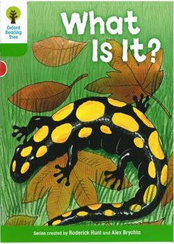 What is it