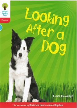 Looking After a Dog