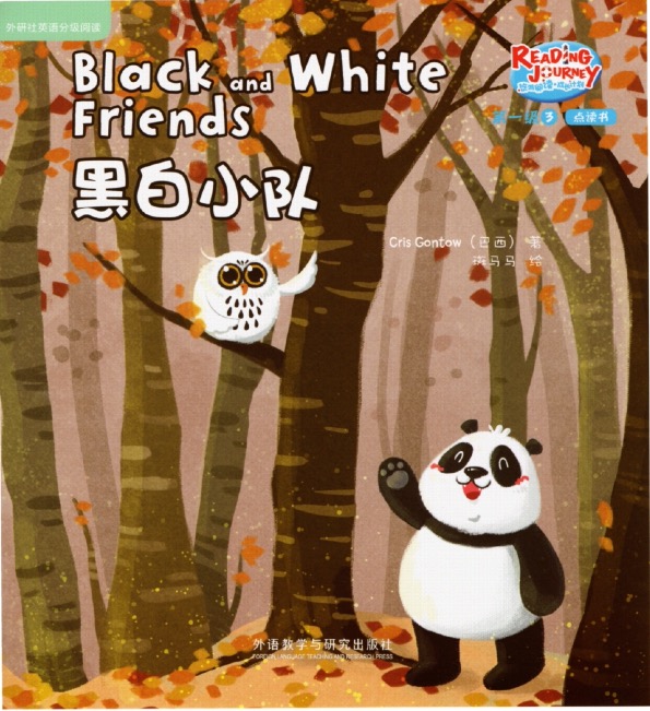 黑白小队