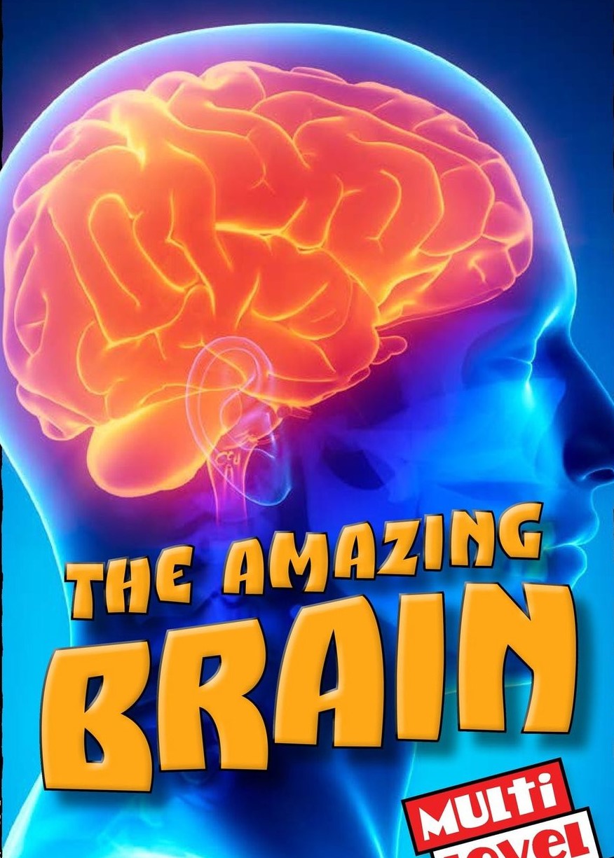 The Amazing Brain