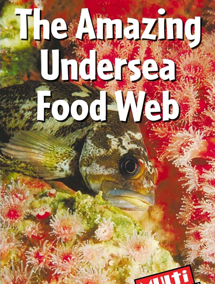 The Amazing Undersea Food Web