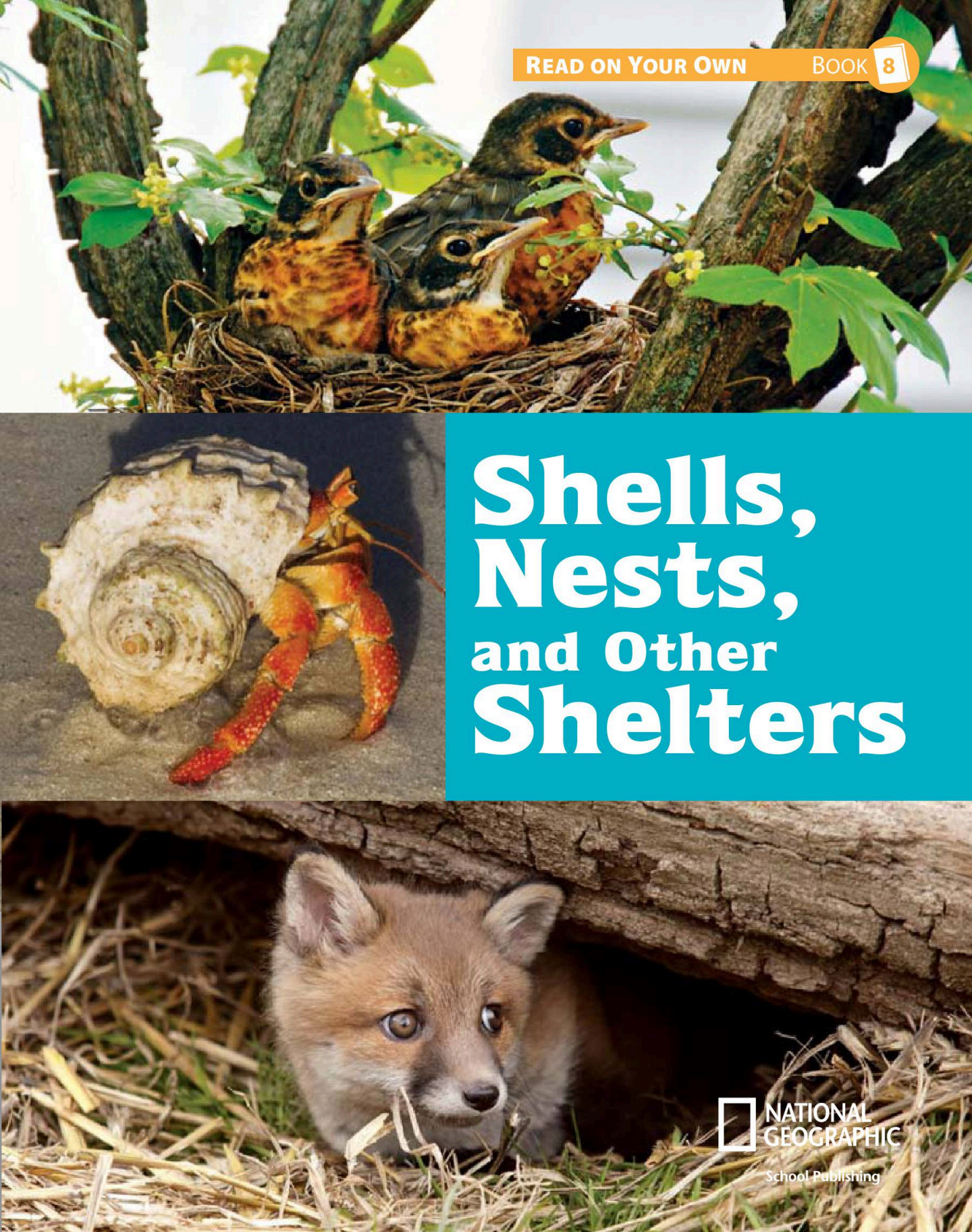 Shells, Nests, and Other Shelters