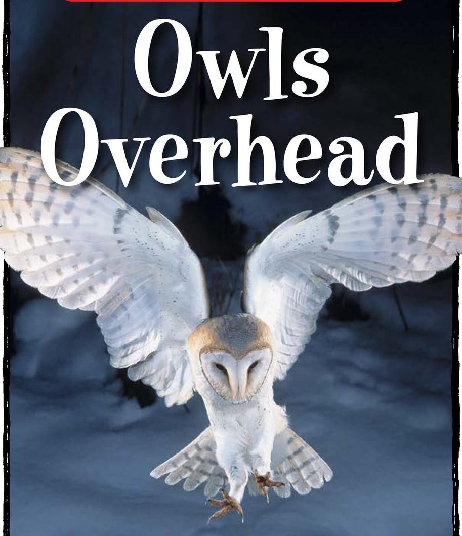 Owls Overhead