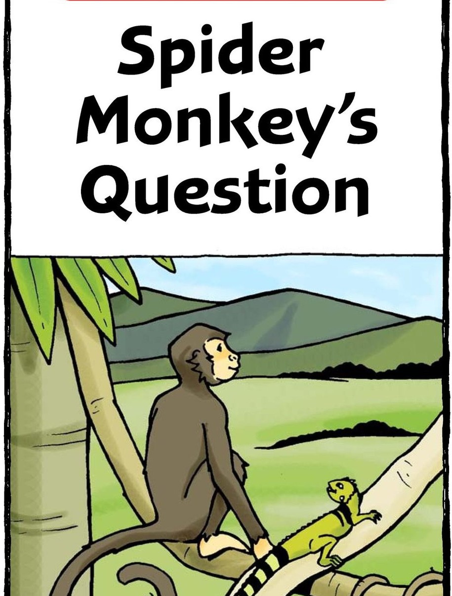 Spider Monkey's Question