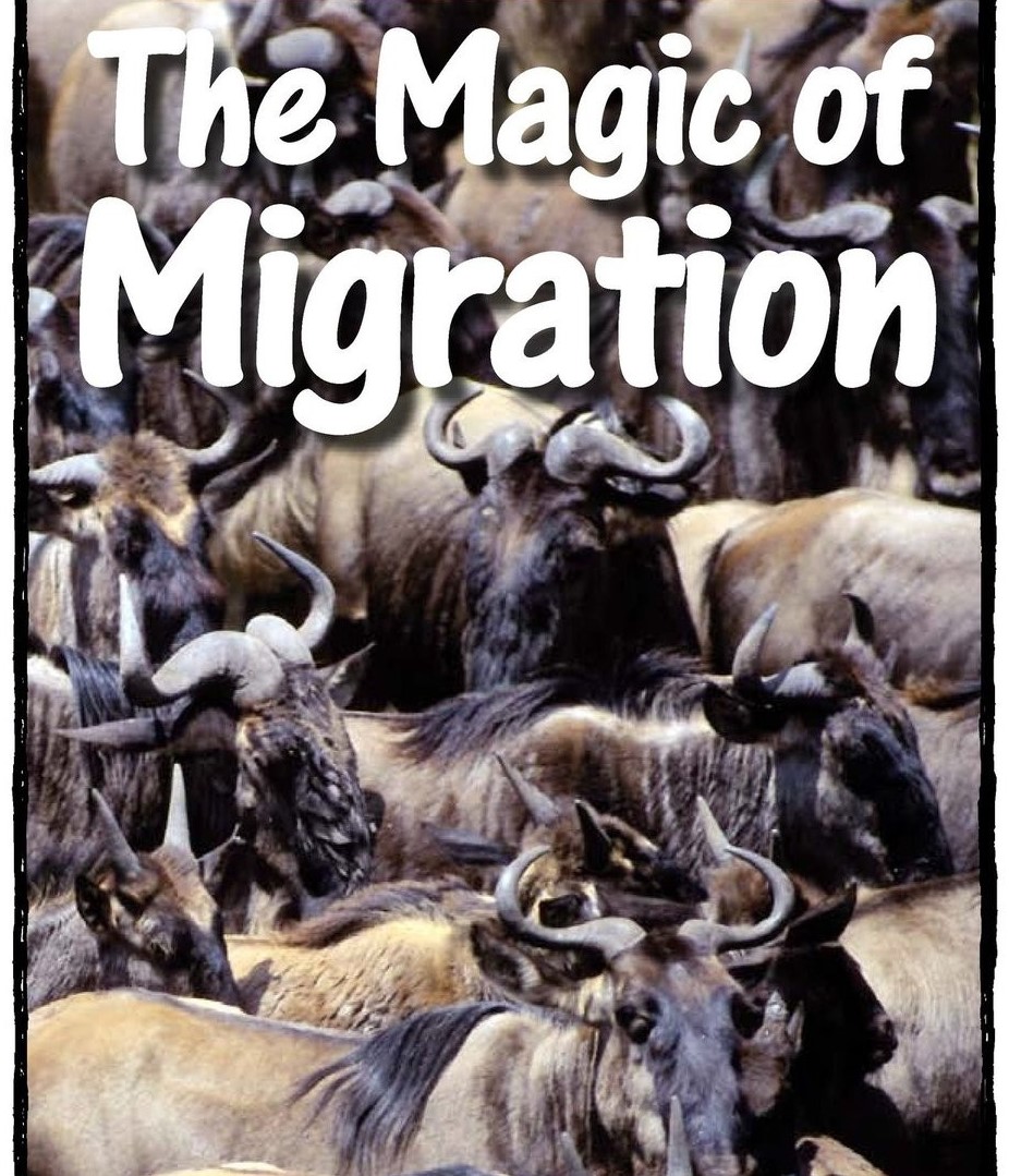 The Magic of Migration