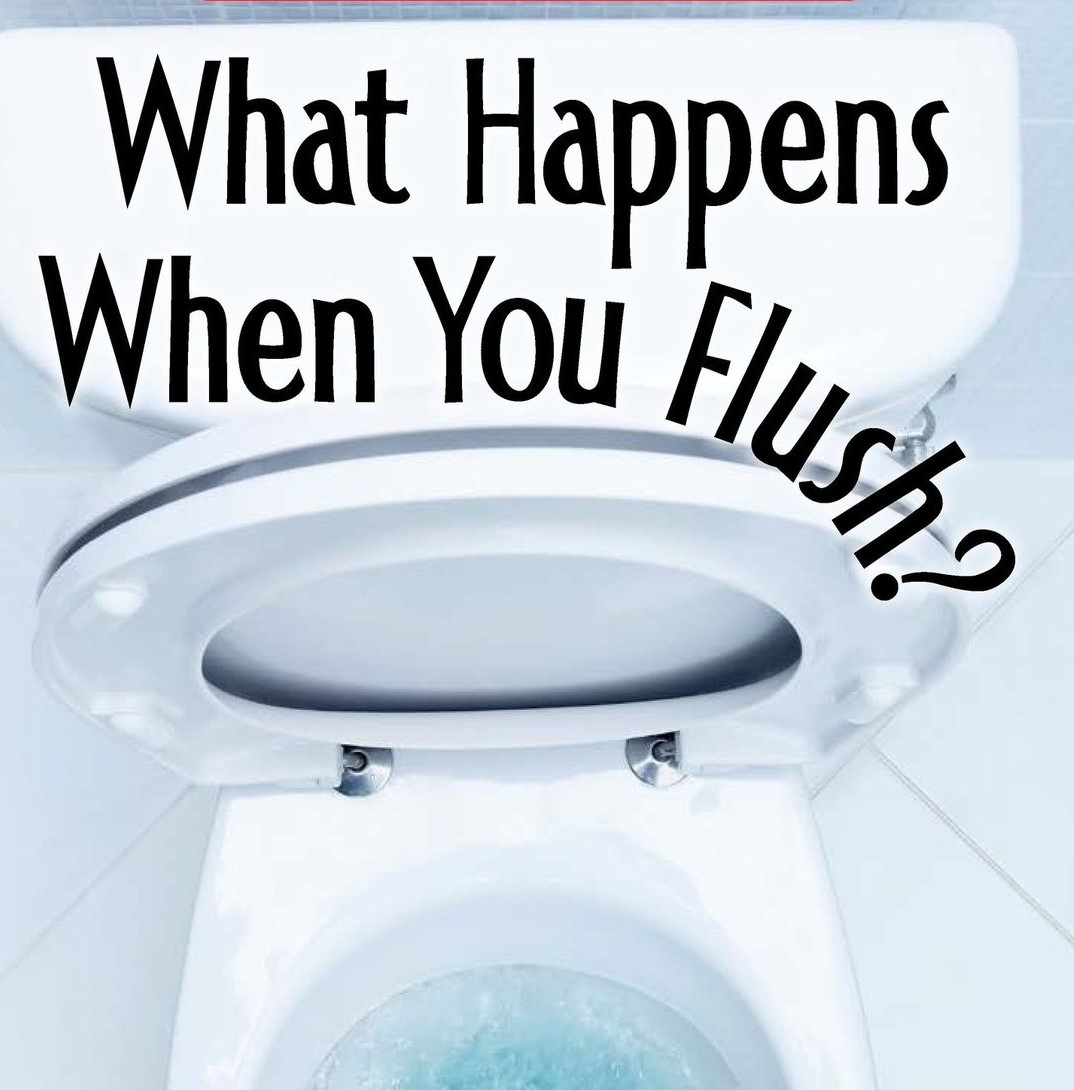 What Happens When You Flush？