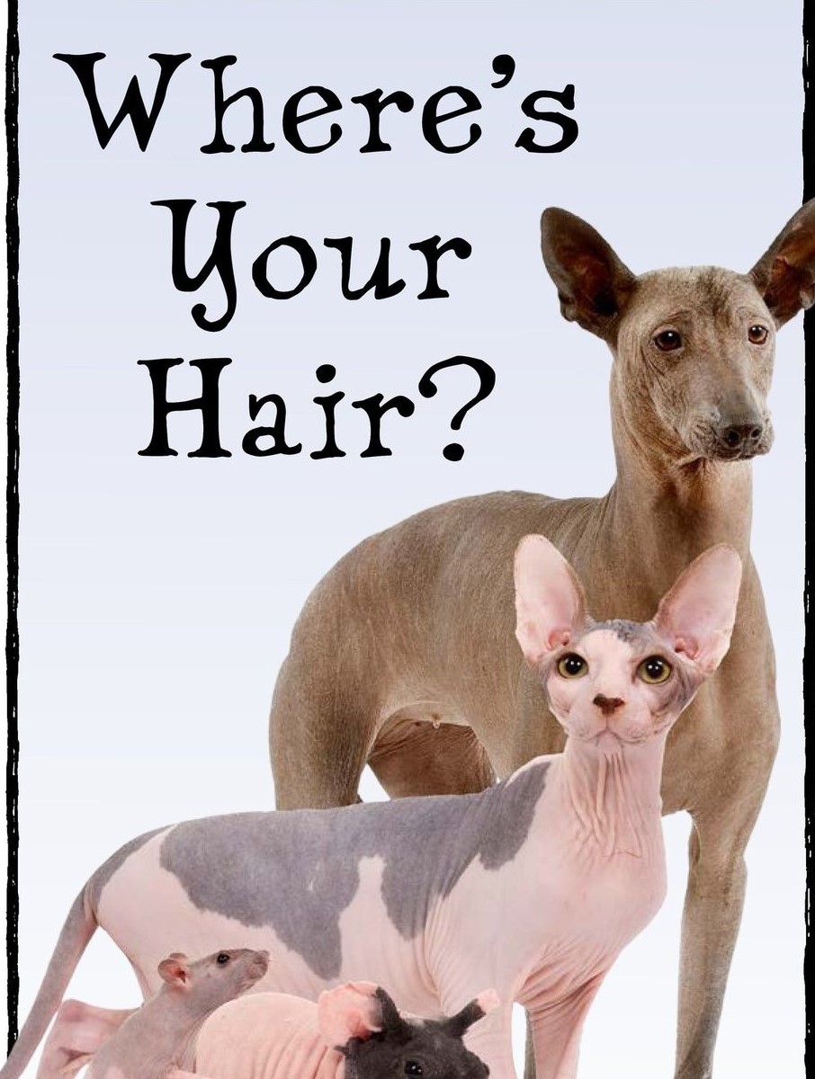 Where's Your Hair？