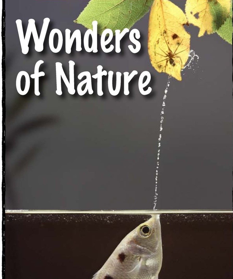 Wonders of Nature