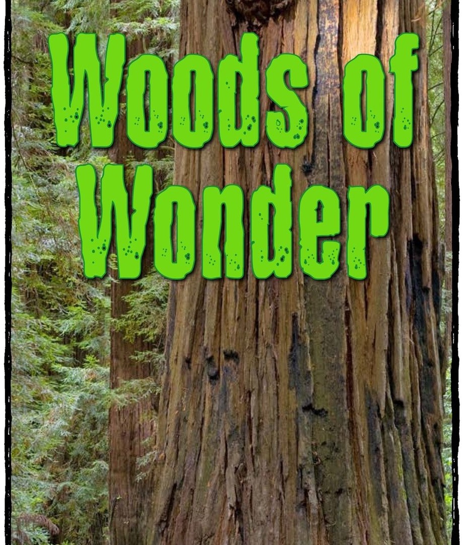 Woods of Wonder