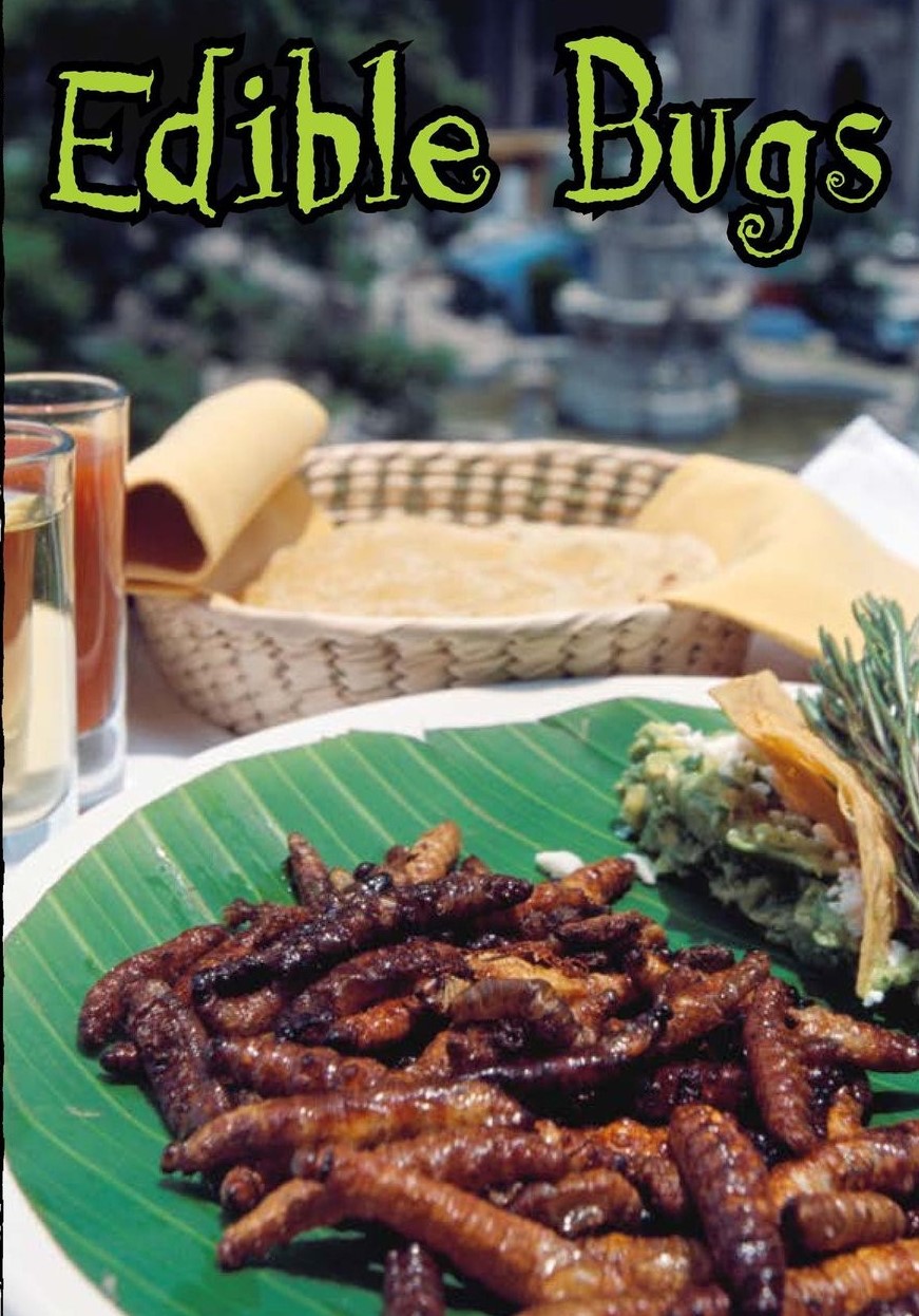 Edible Bugs