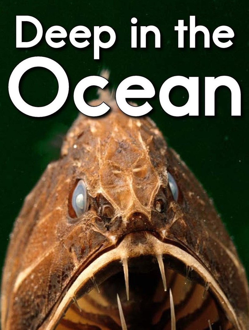 Deep in the Ocean