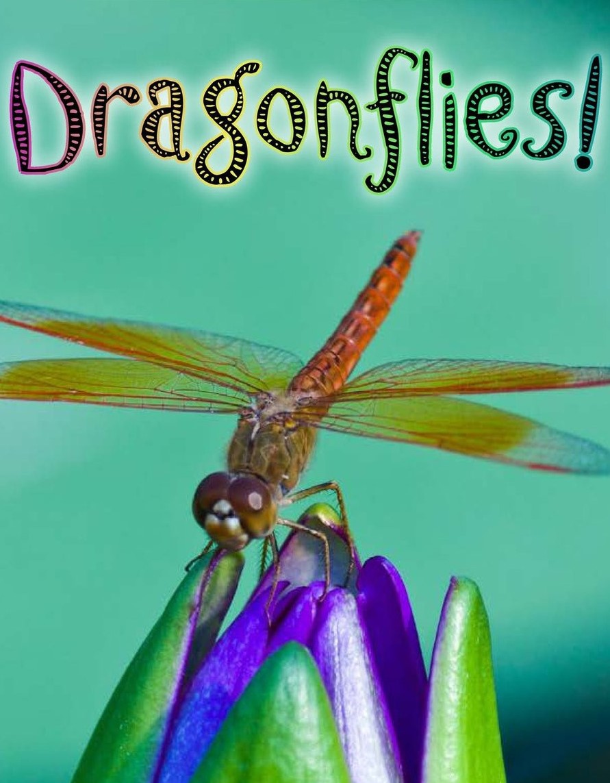 Dragonflies!