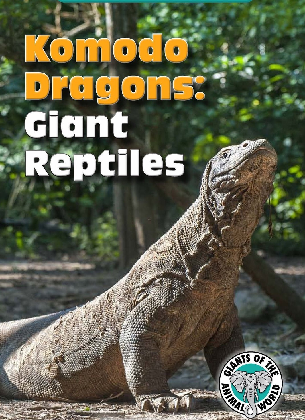 Komodo Dragons:Giant Reptiles