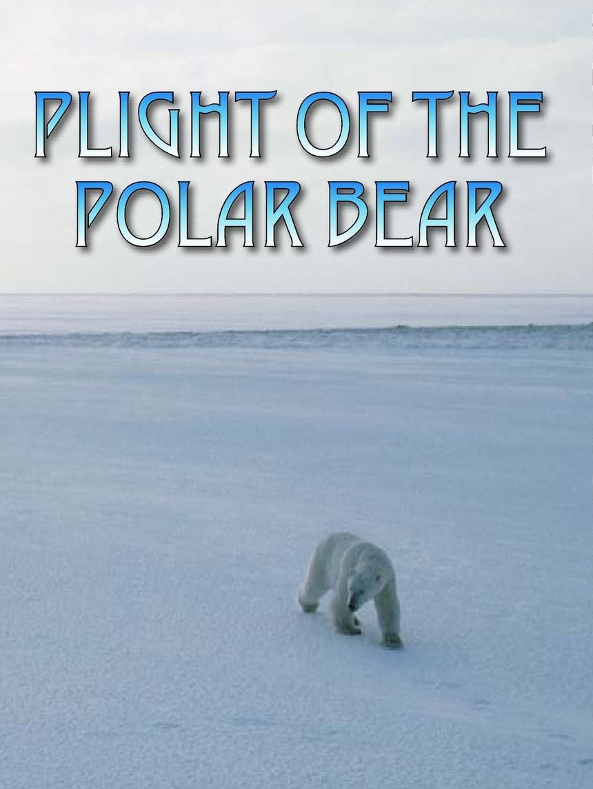 Plight of the Polar Bear