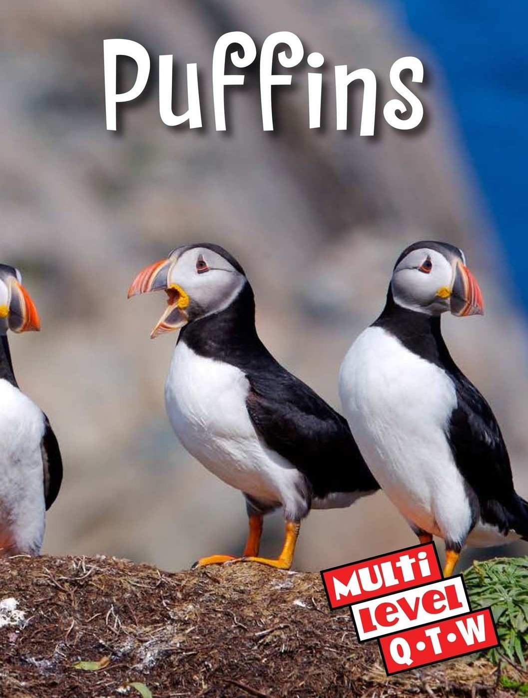 Puffins