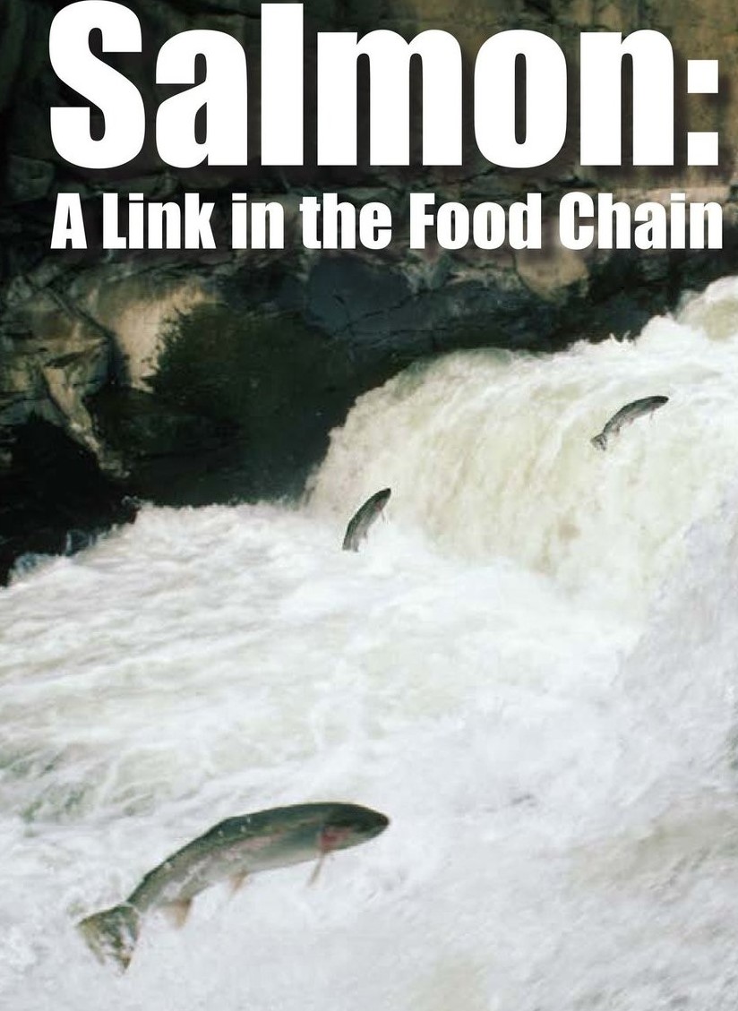 Salmon A Link in the Food Chain