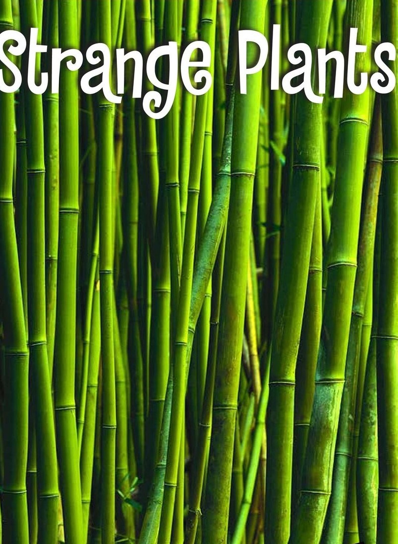 Strange Plants