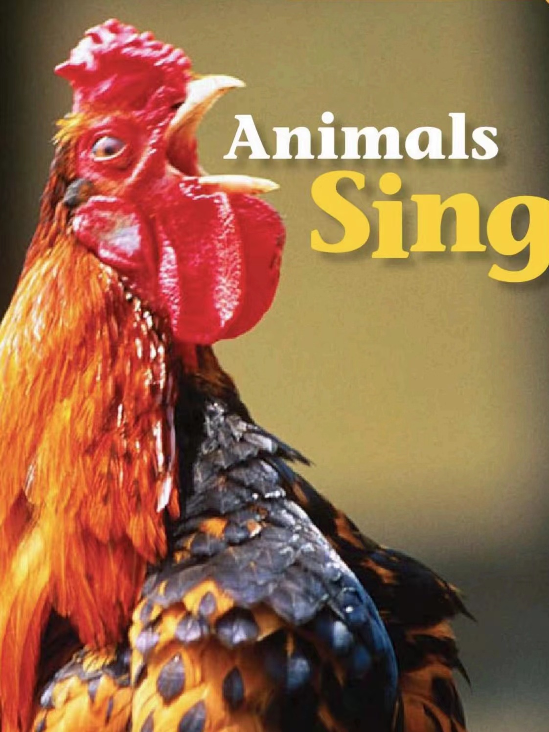 Animals Sing