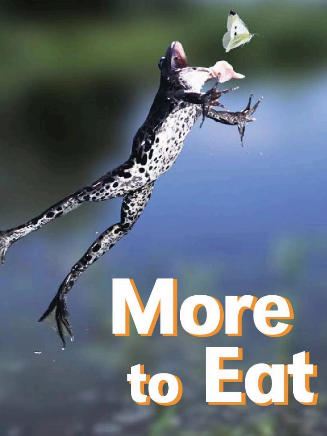 More to Eat