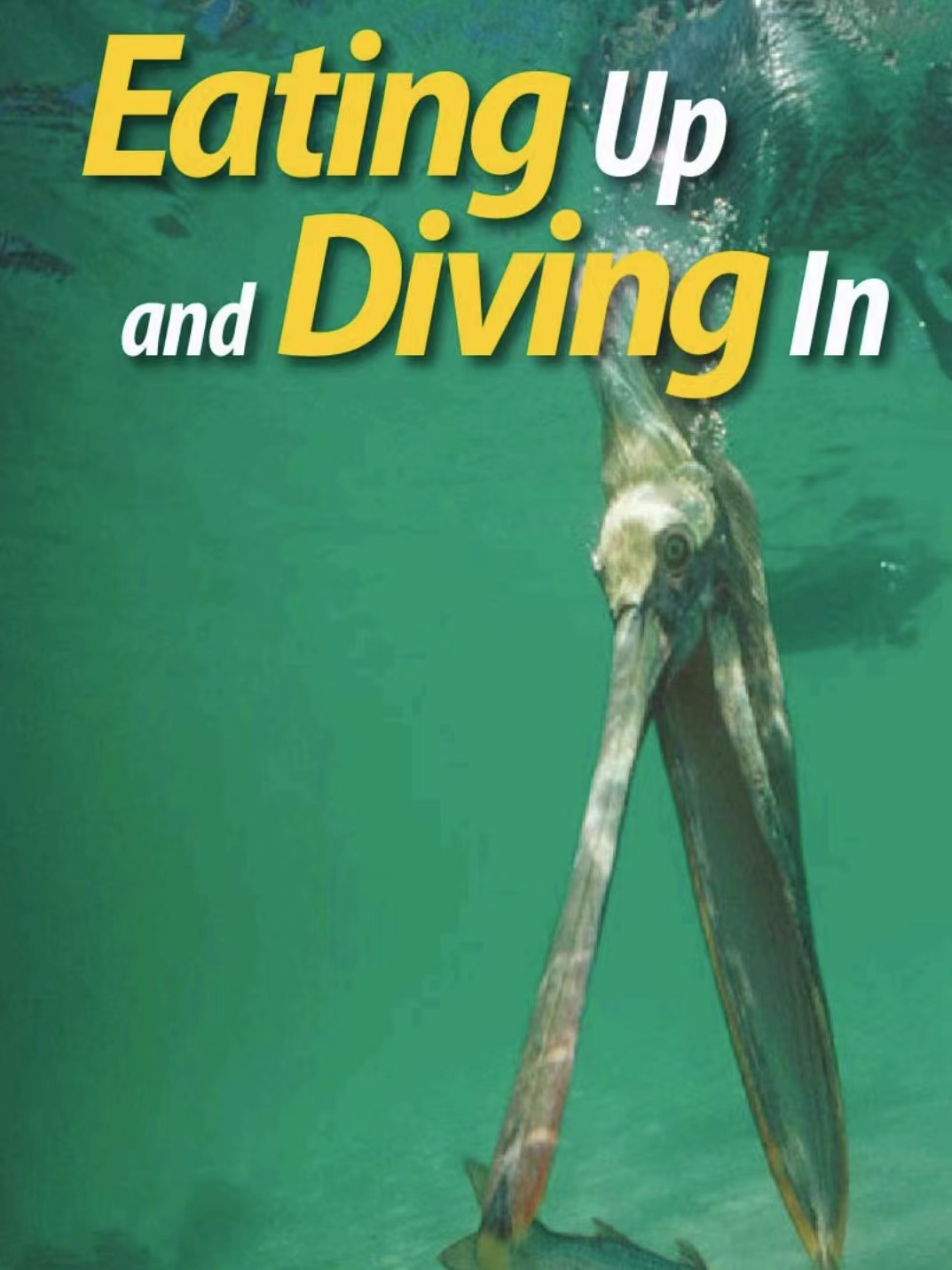 Eating up and Diving In