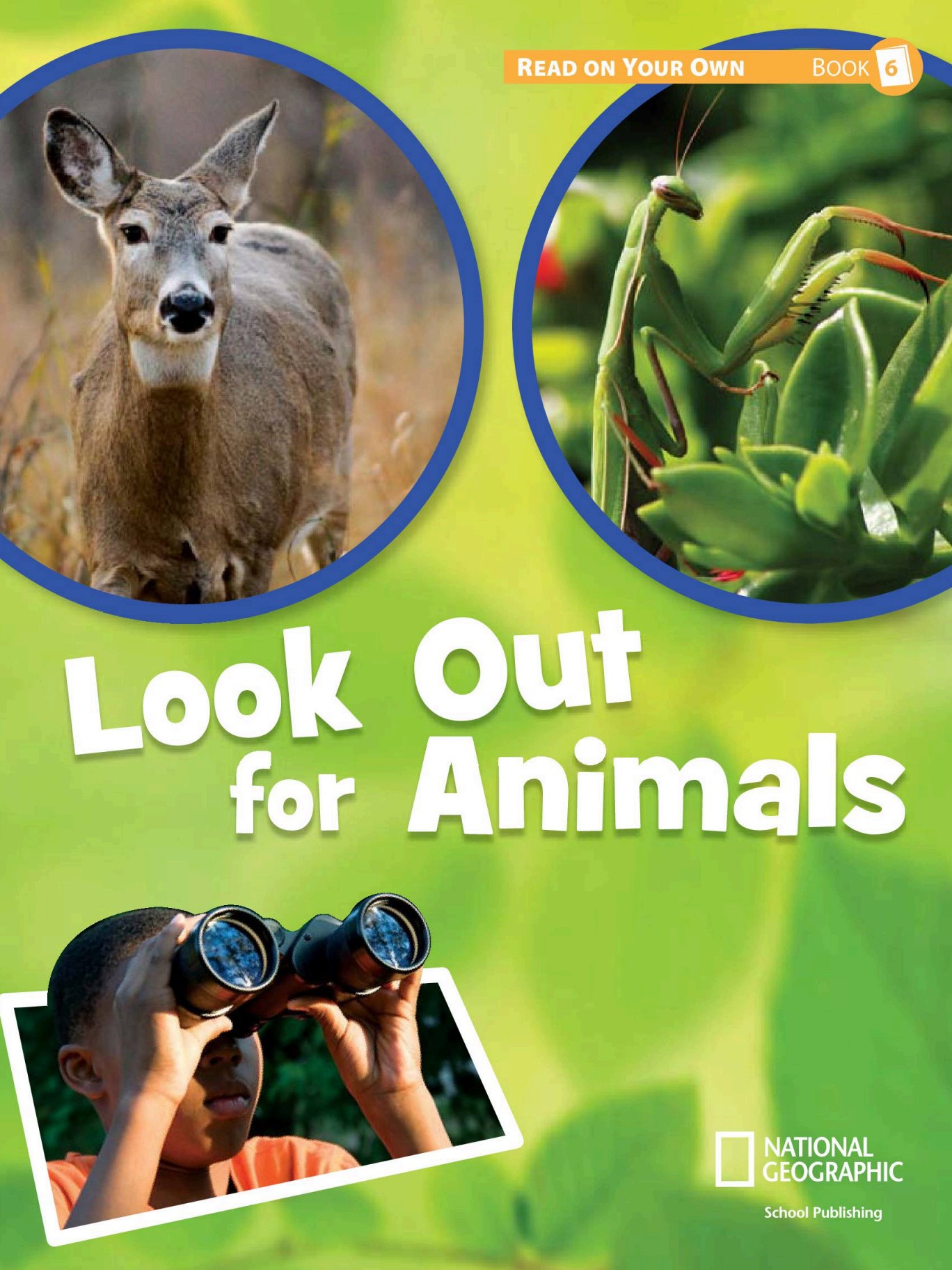 Look Out for Animals