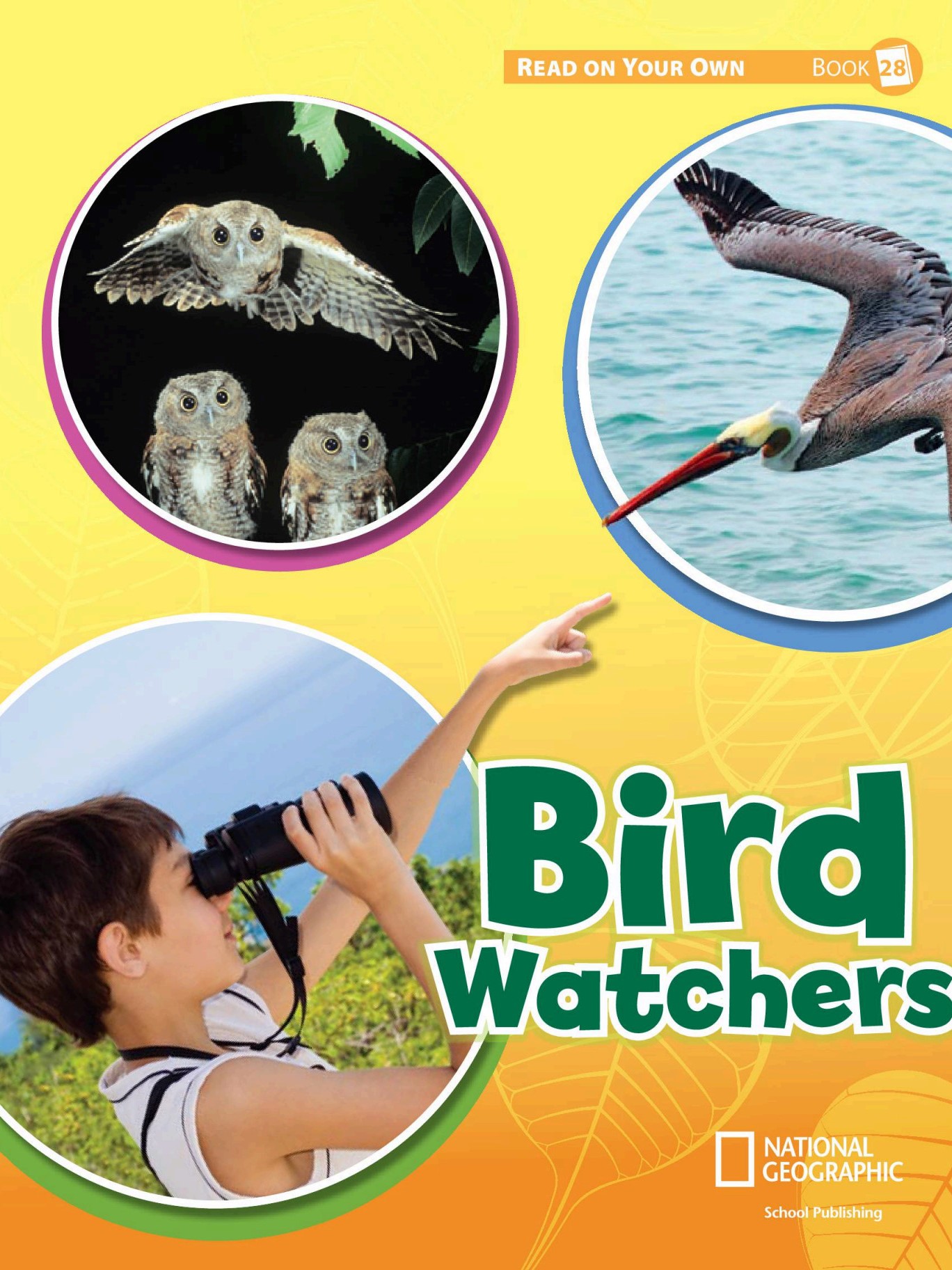 Bird Watchers