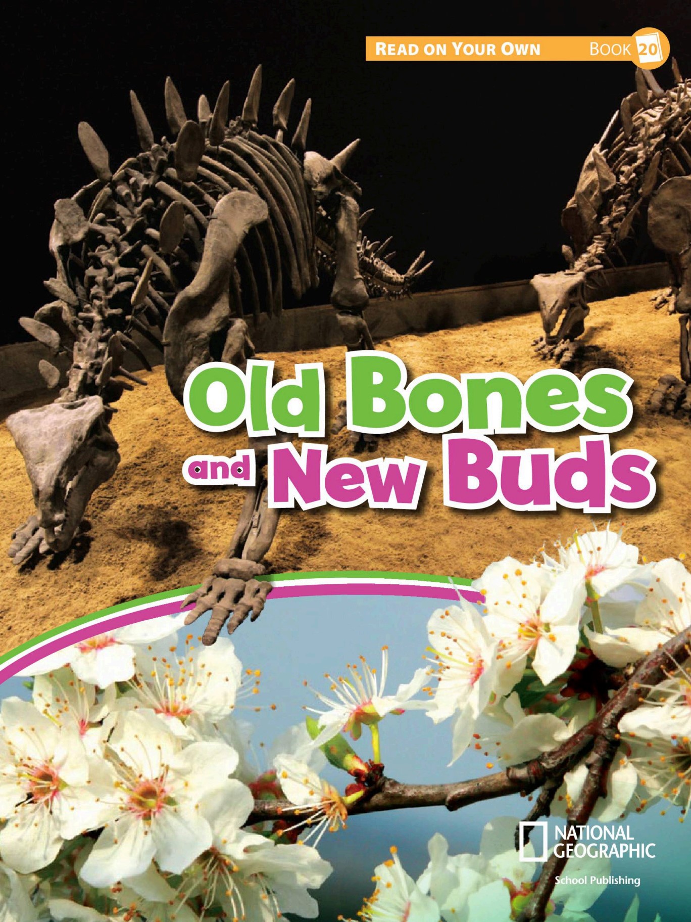 Old Bones and New Buds