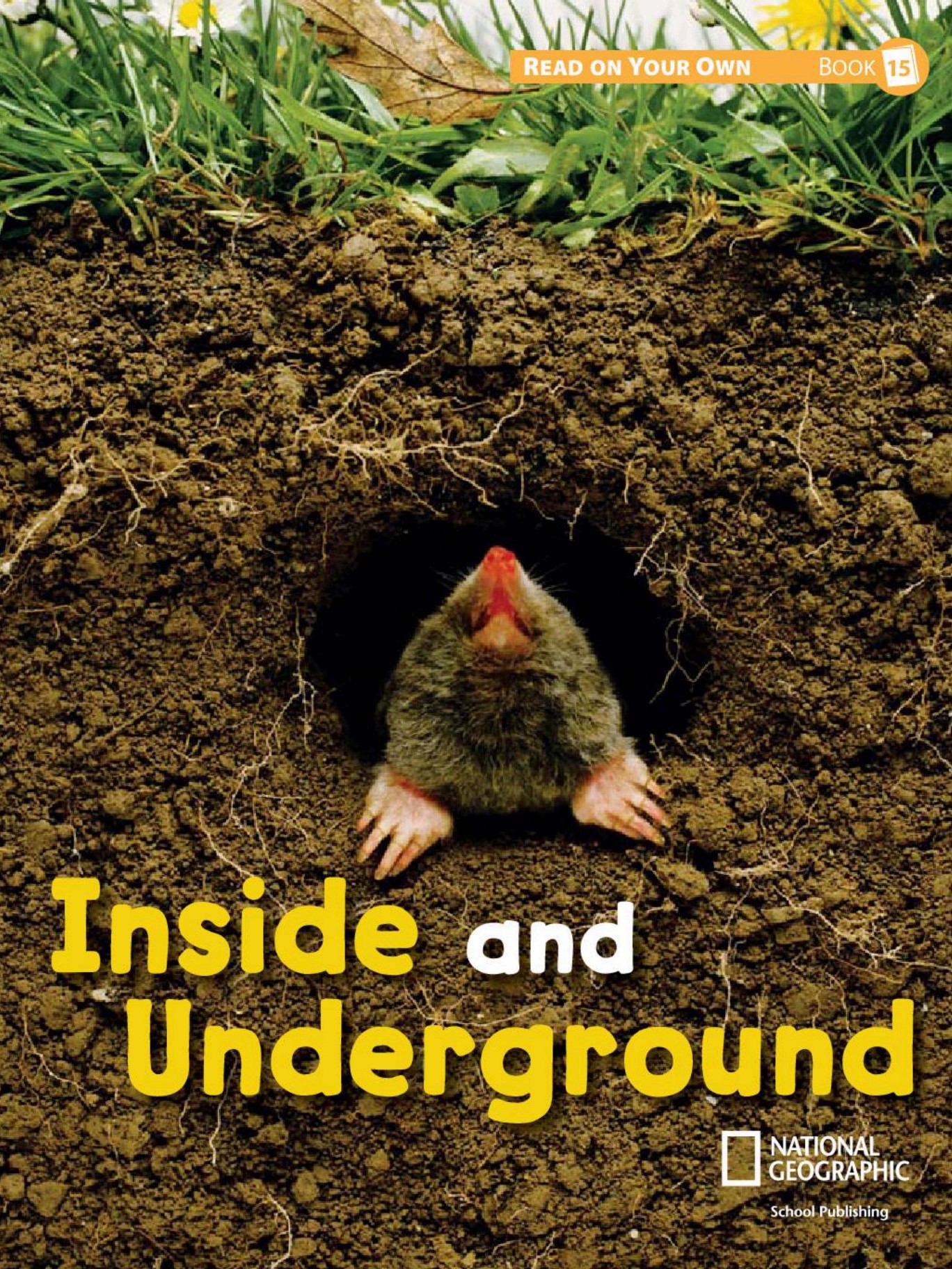 Inside and Underground