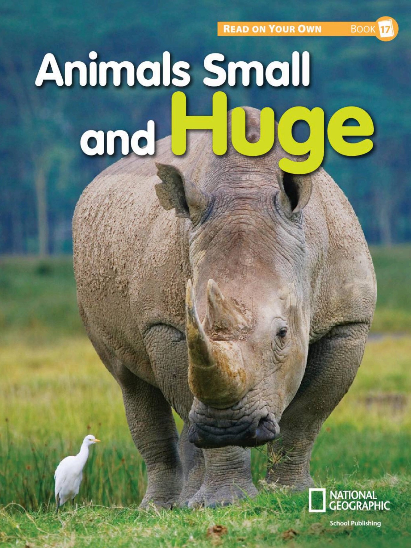 Animals Small and Huge