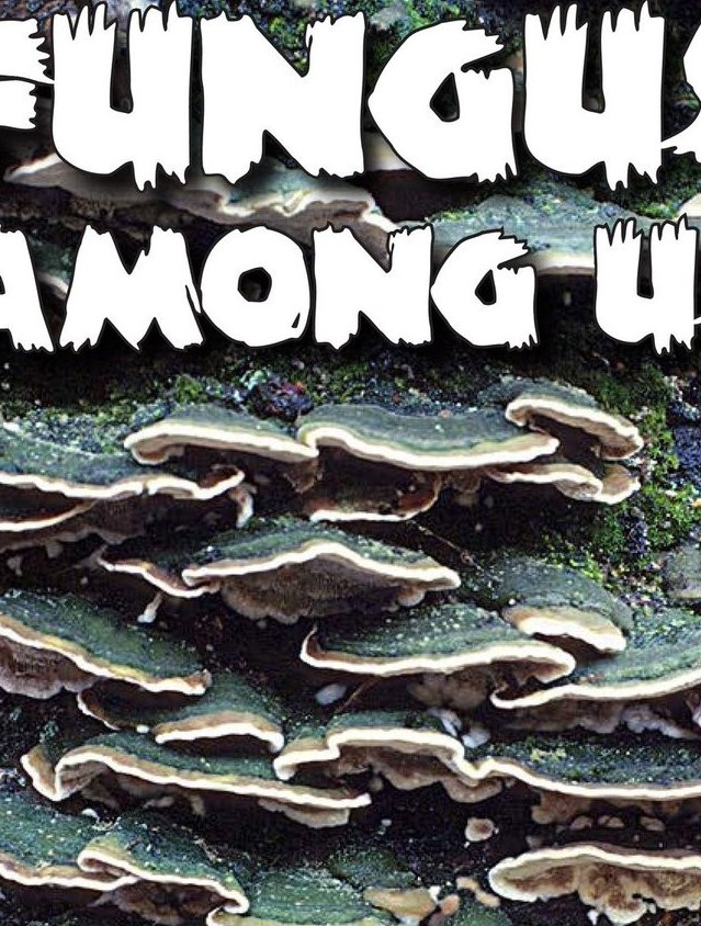 Fungus Among Us