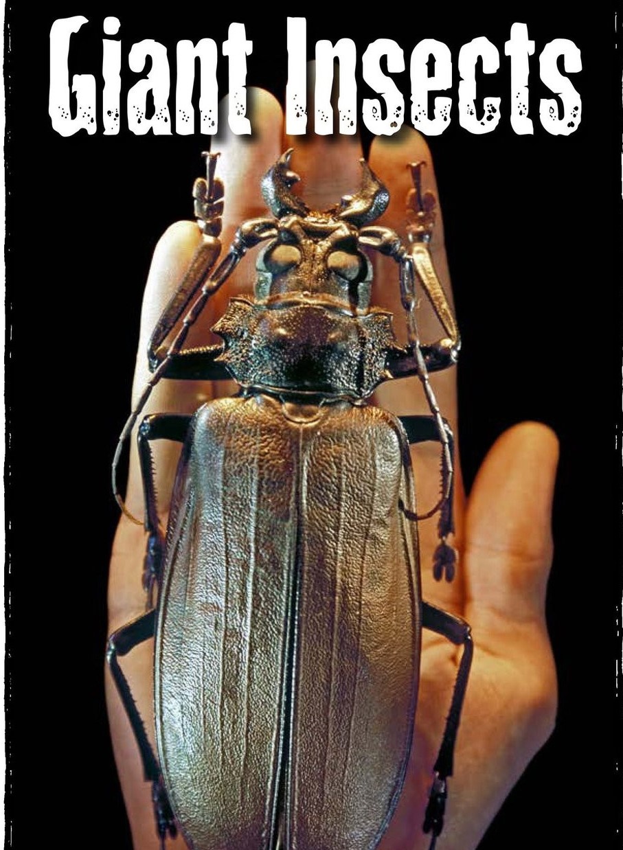 Giant Insects