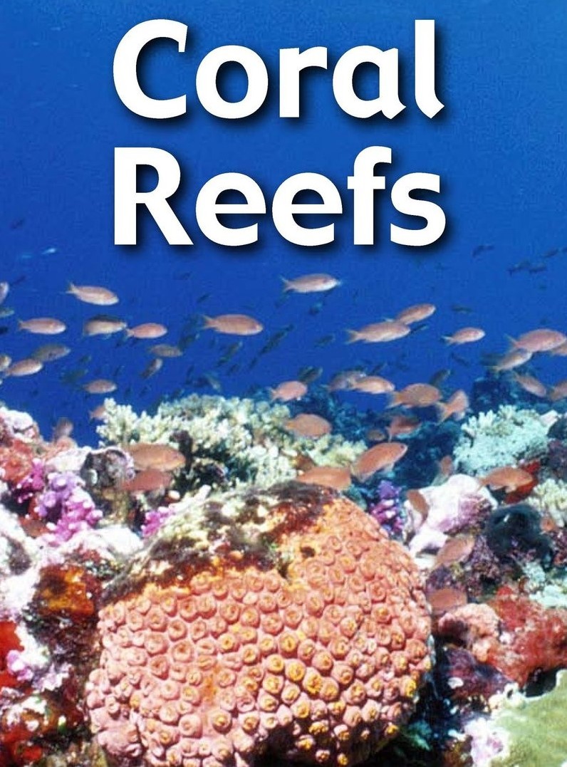 Corgl Reefs