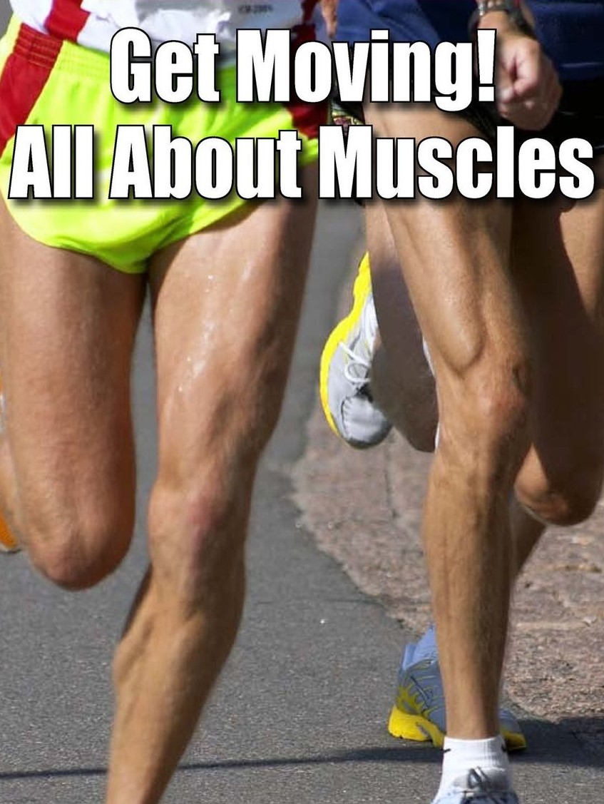 Get Moving! All About Muscles