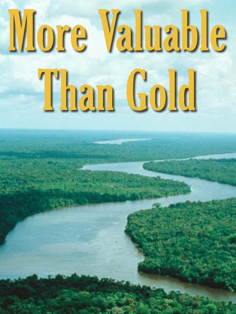 More Valuable Than Gold