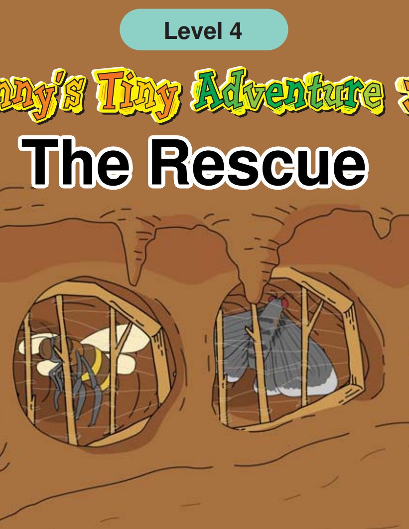 The Rescue