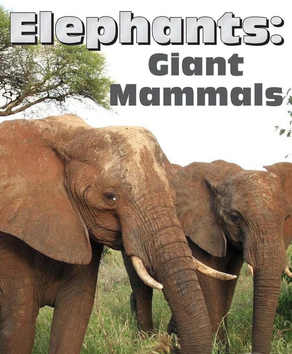 Elephants: Giant Mammals