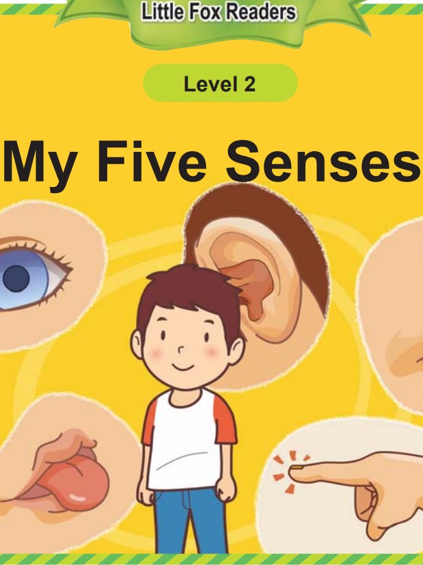 My Five Senses