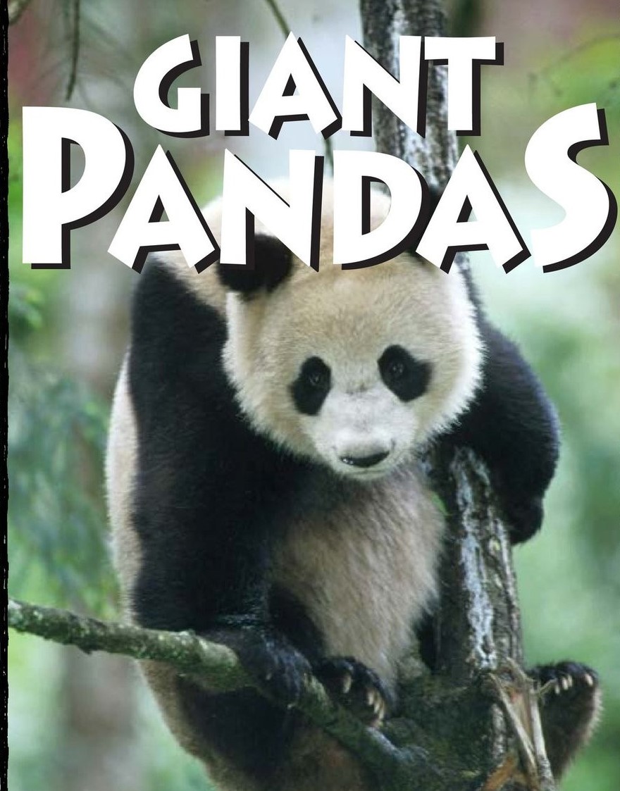 Giant Pandas