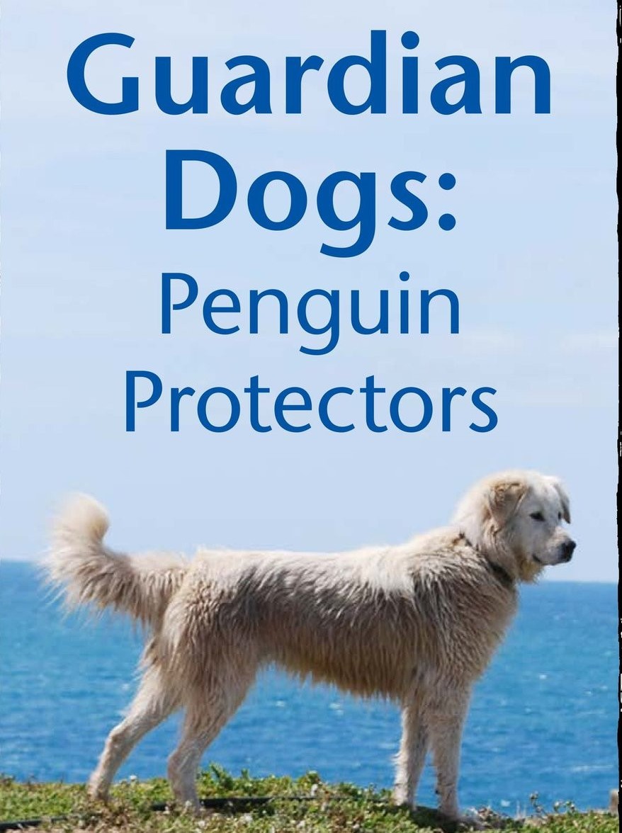 Guardian Dogs Penguin Protectors
