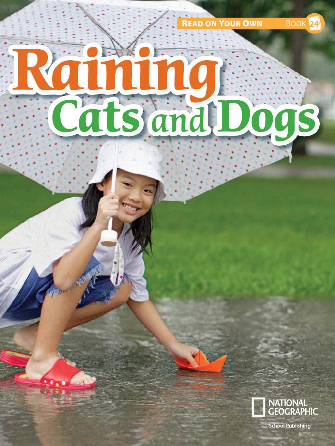 Raining Cats and Dogs