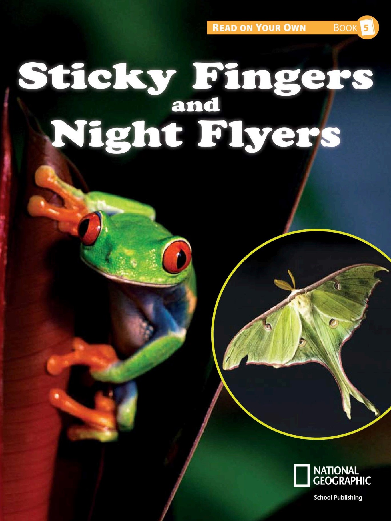 Sticky Fingers and NigHt Flyers