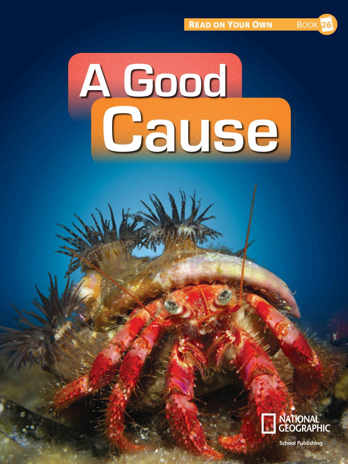 A Good Cause