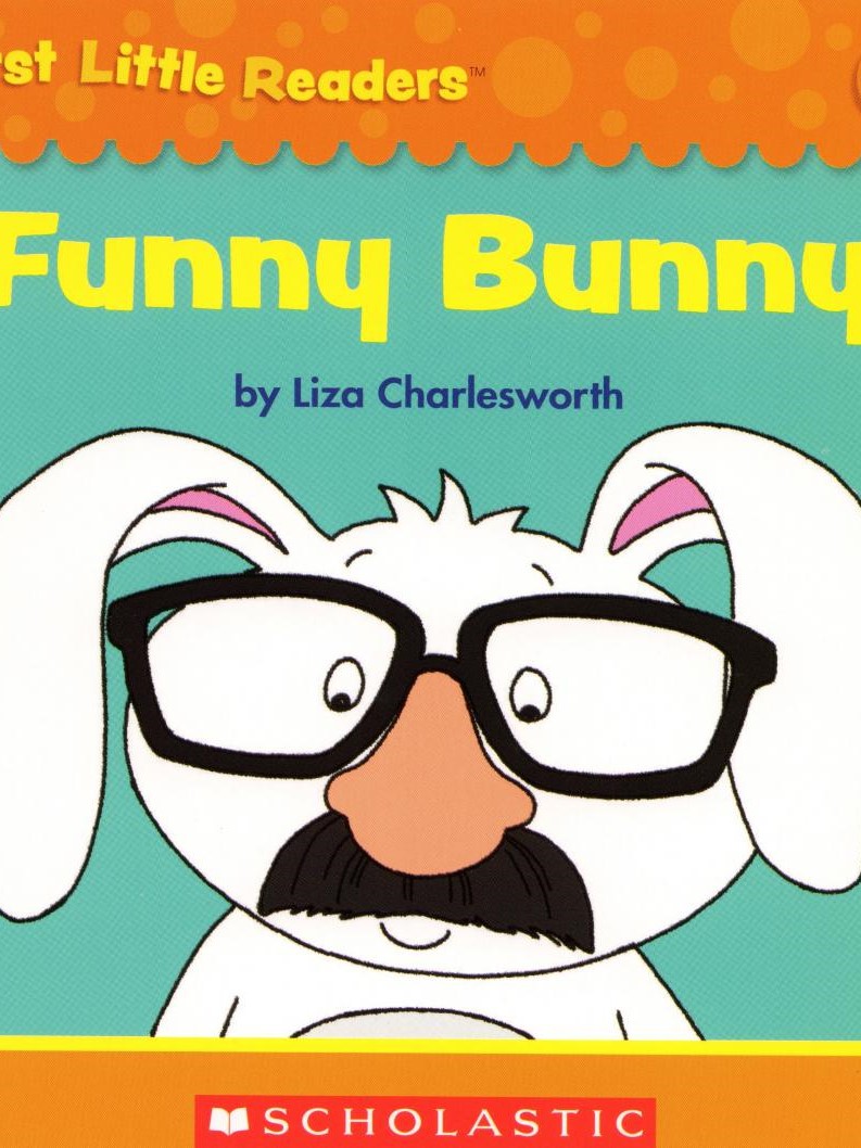 Funny Bunny