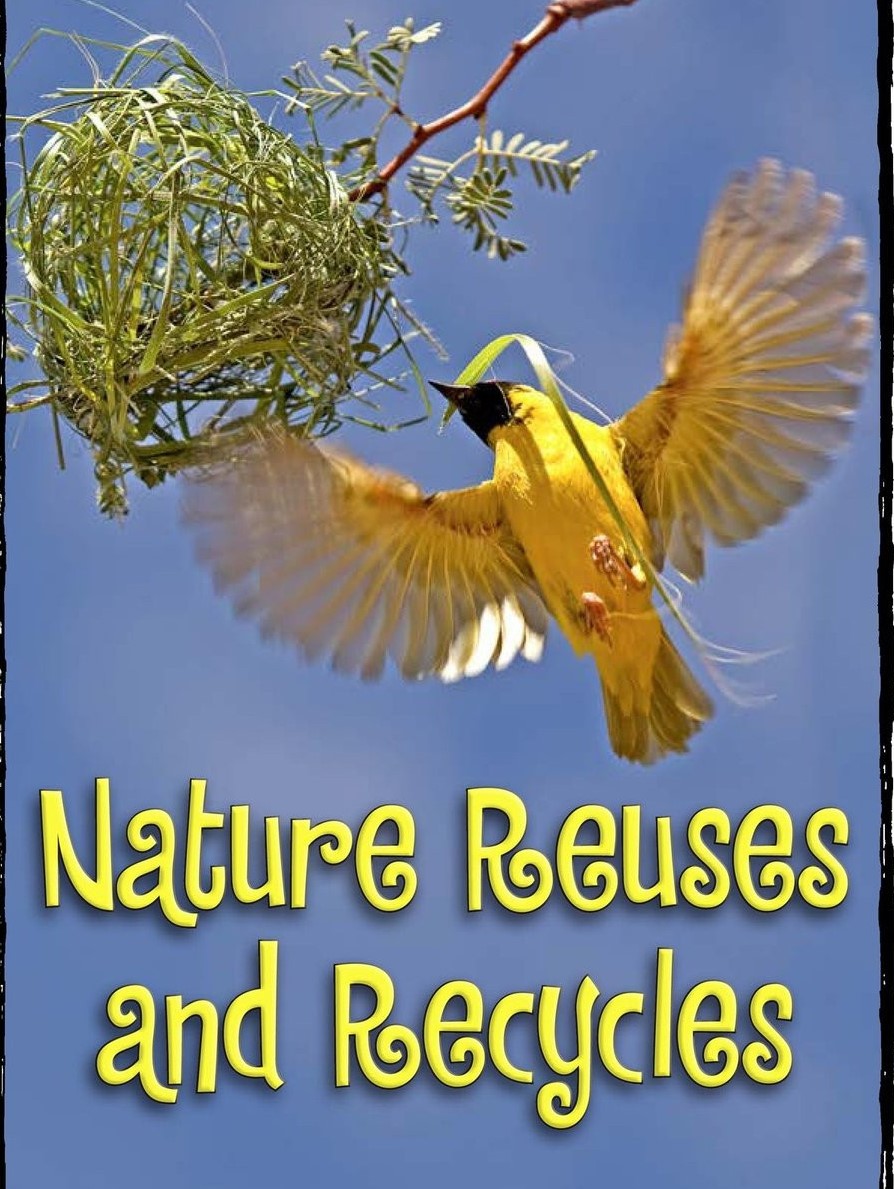 Nature Reuses and Recycles