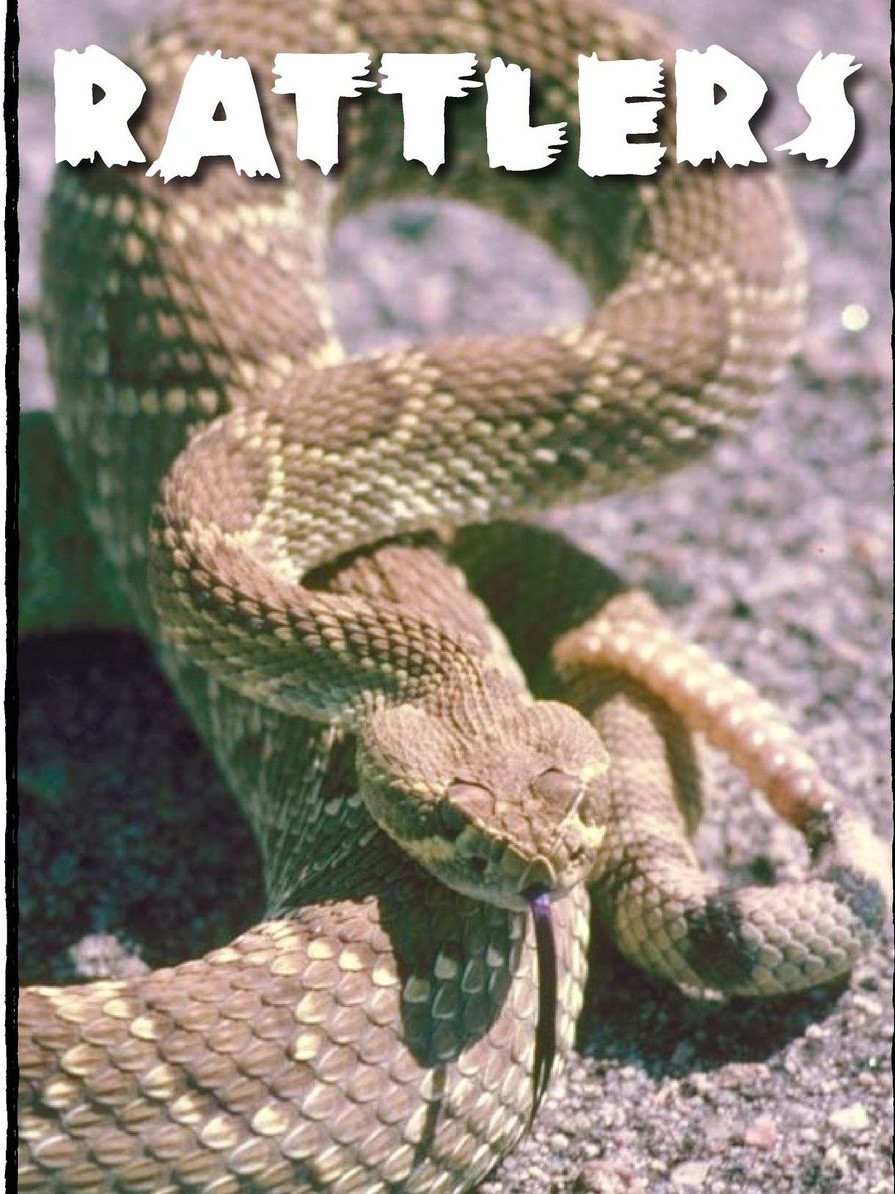 Rattlers