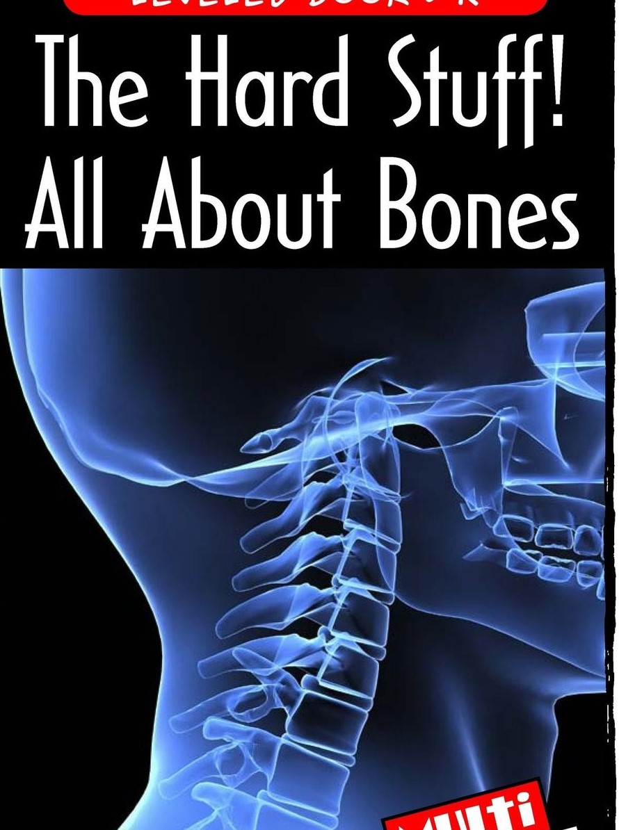 The Hard Stuff! All About Bones