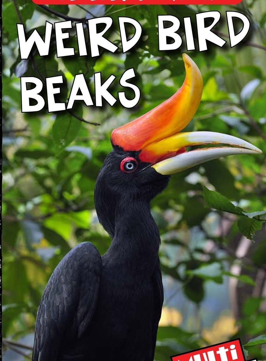 Weird Bird Beaks